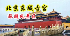 美女大妣视频中国北京-东城古宫旅游风景区